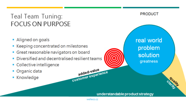 Teal team tuning: focus on purpose