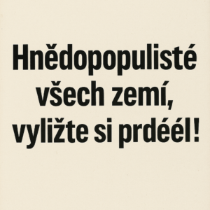 A_digital_image_features_bold,_black_text_in_Czech