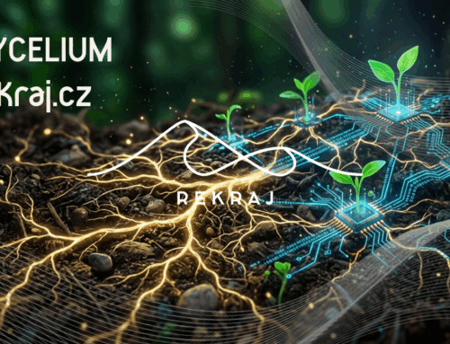 ✨Spouštíme Mycelium reKraj a otevíráme novou Bránu Bohemie